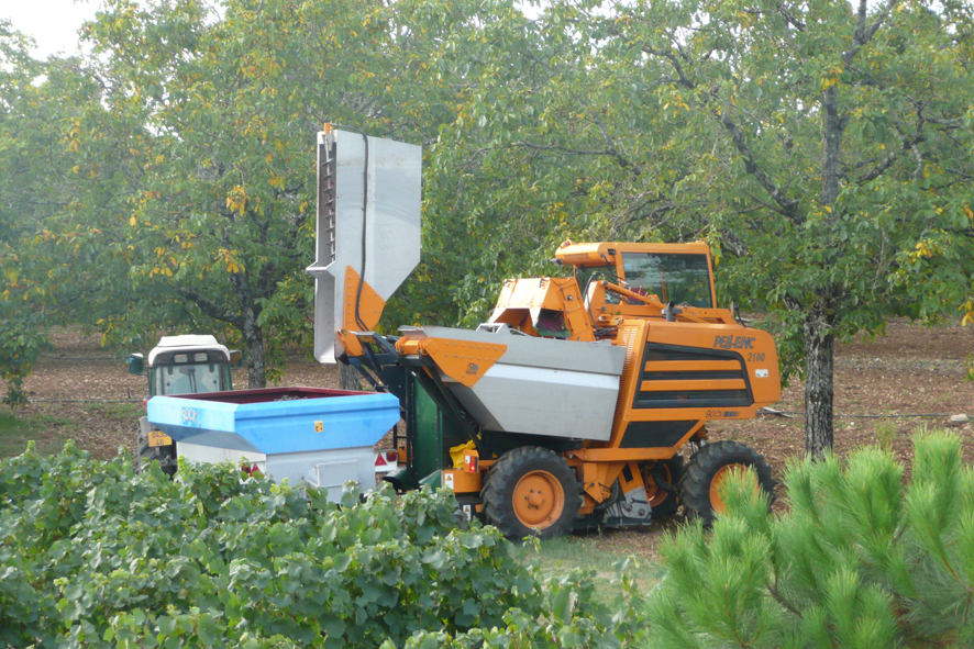 Machine A Vendanger Machine A Vendanger